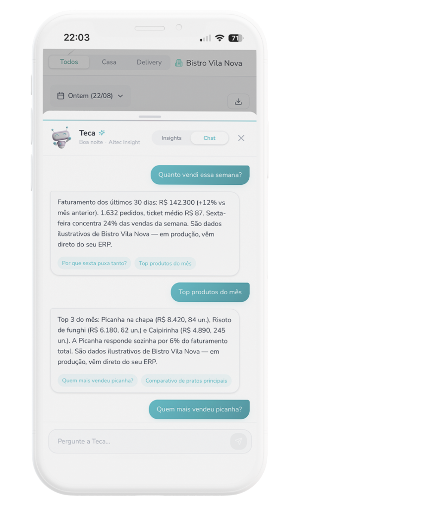 Conversa com a Teca no celular